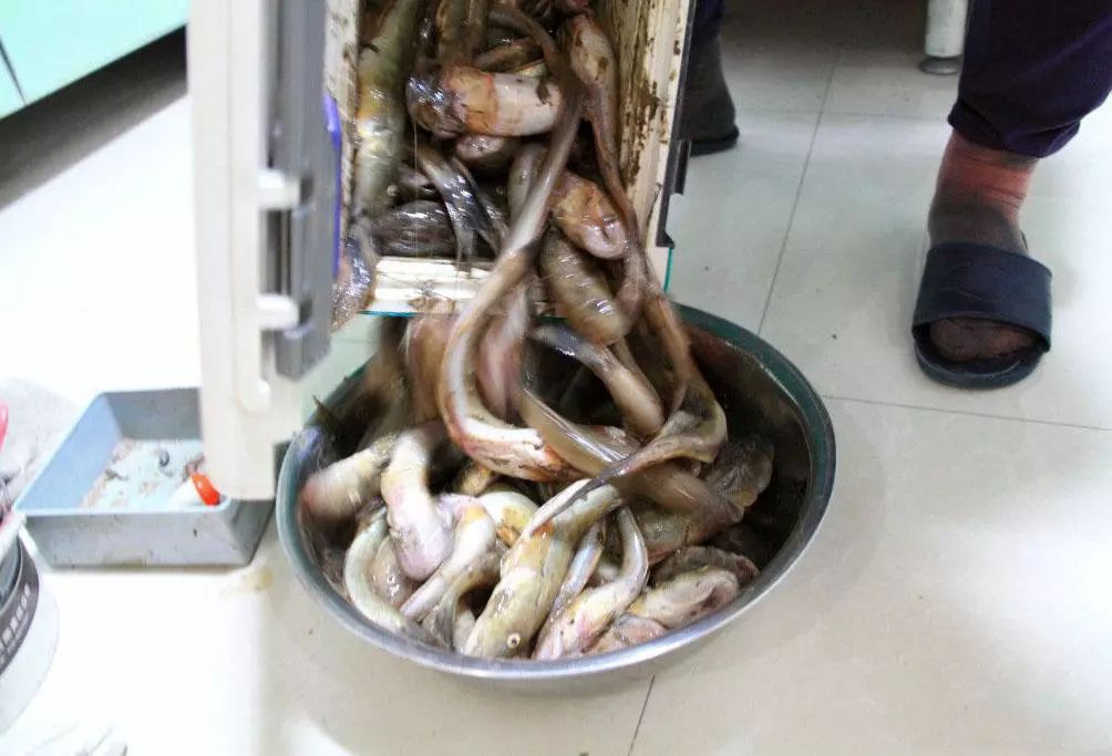 关于警惕性的信息