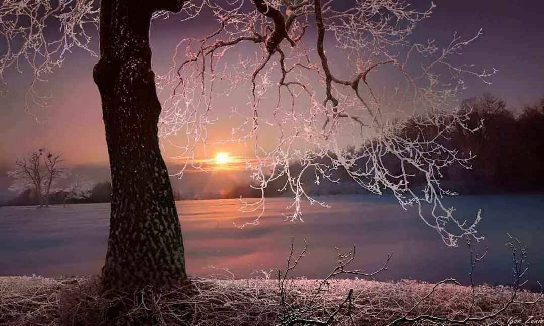 难能可贵的近义词(难能可贵的近义词是什么词) 难能可贵的近义词(难能可贵的近义词是什么词)