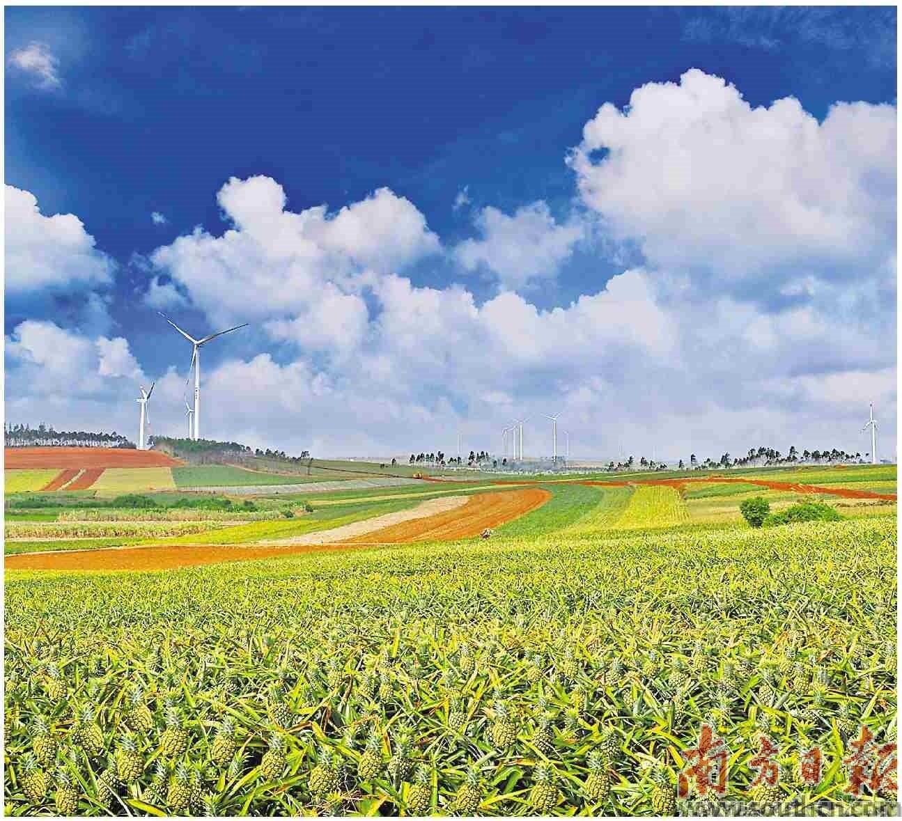 城乡区域协调发展(城乡区域协调发展的前提)