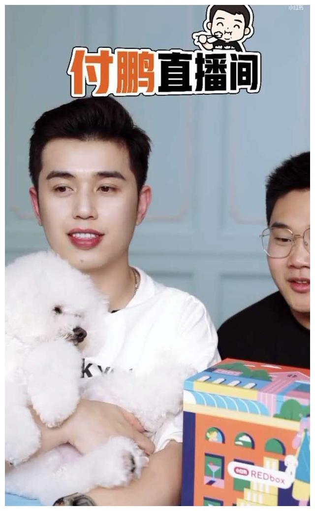 付鹏(付鹏去哪里了) 付鹏(付鹏去哪里了)