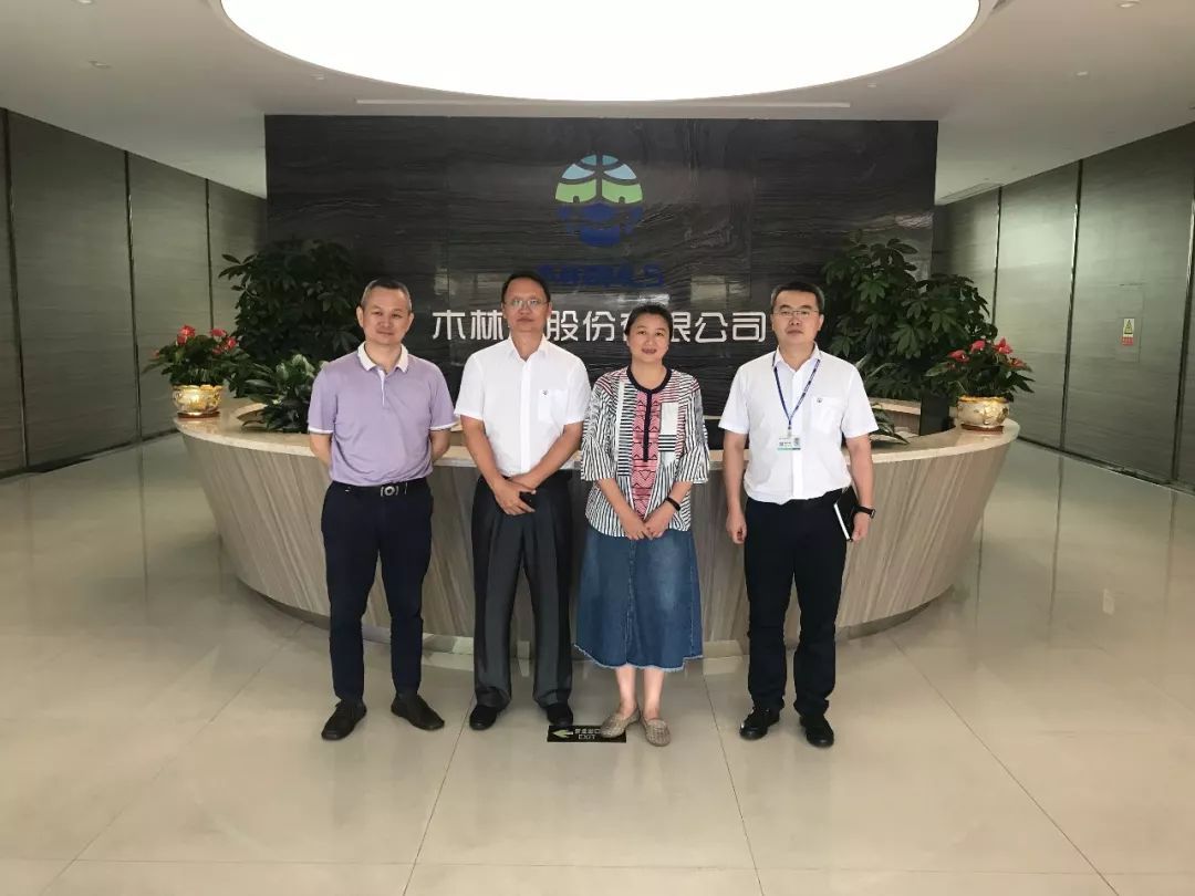 木林森股票(木林森股票股吧同花顺) 木林森股票(木林森股票股吧同花顺)