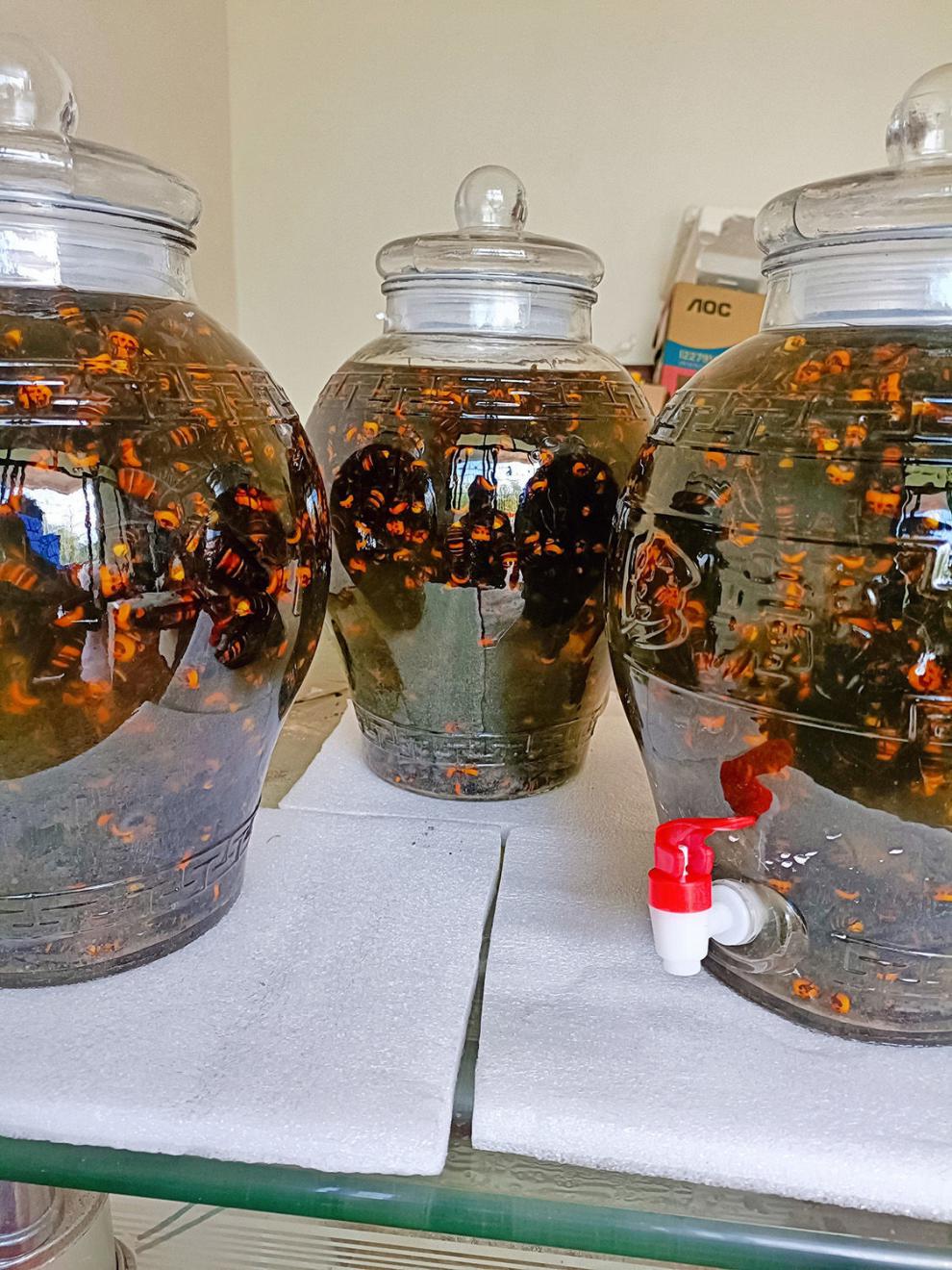 乳痈乳癌牙痛瘾疹等症制作泡酒我比较推荐选择谷养康无添加泡酒专用酒