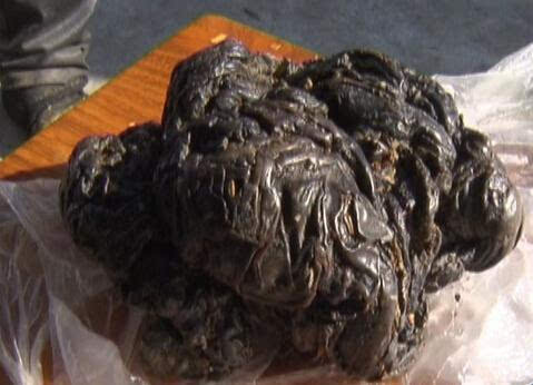 牛黄多少钱一克(牛黄价格多少钱一克)