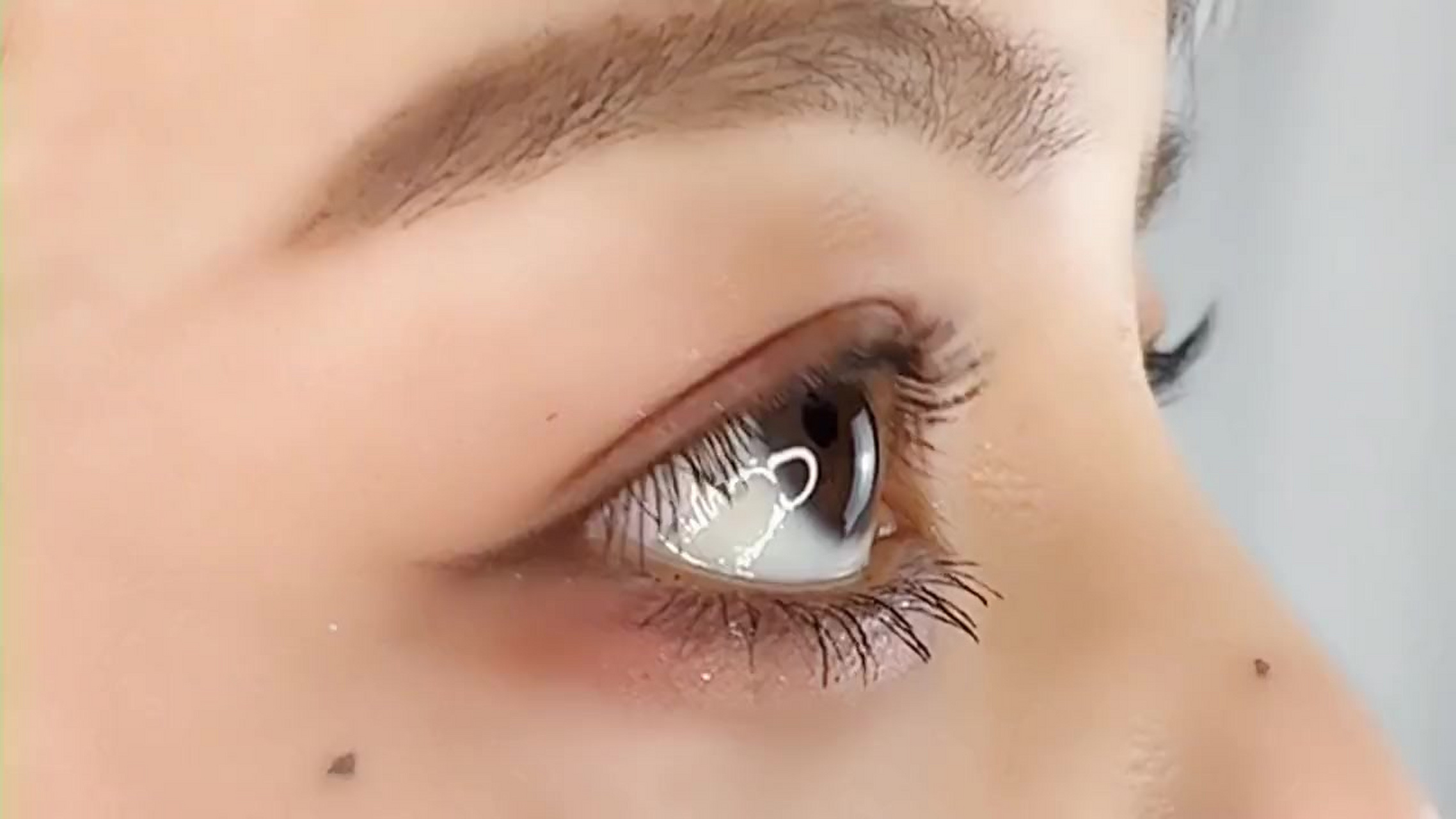 眼睛分类(眼睛分类名称和图片)