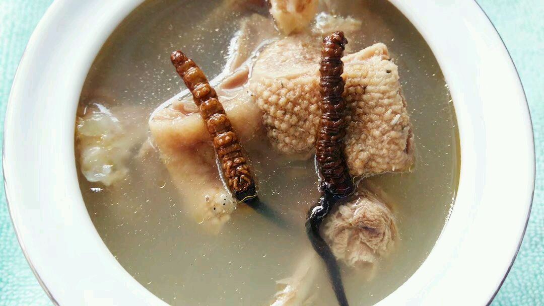 虫草炖什么最好(虫草炖什么最好养肺)