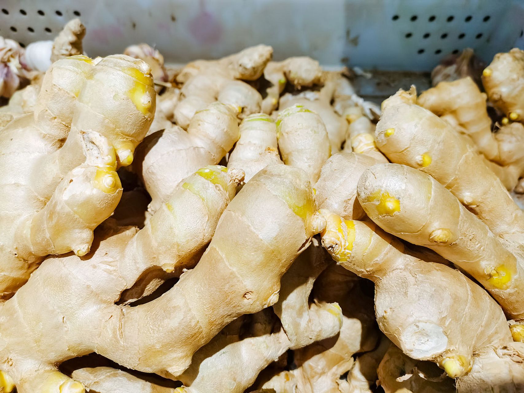 生姜和老姜的区别(生姜和老姜的区别外观)