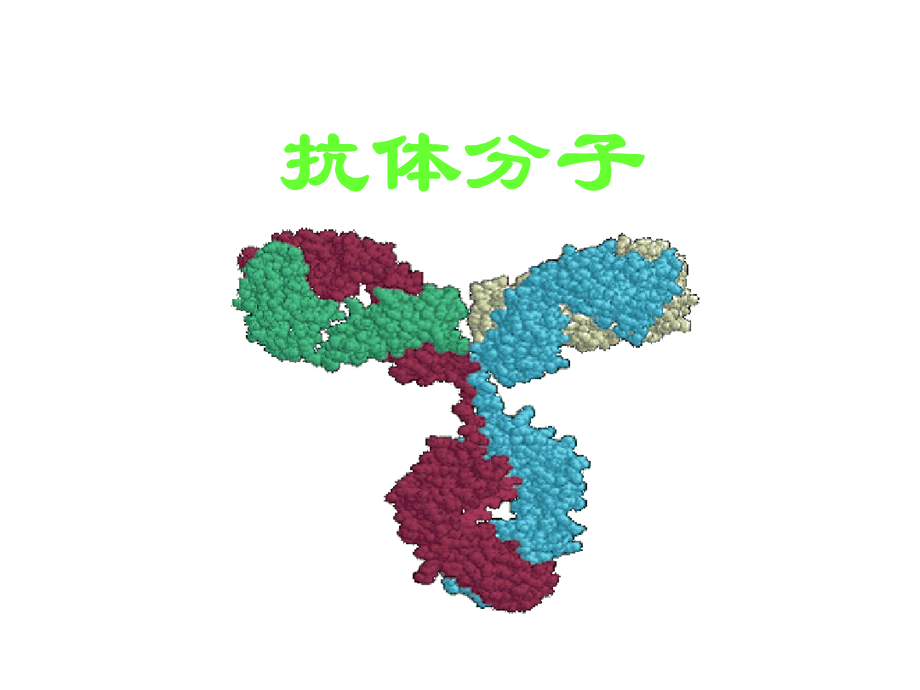 抗体(抗体试剂盒)