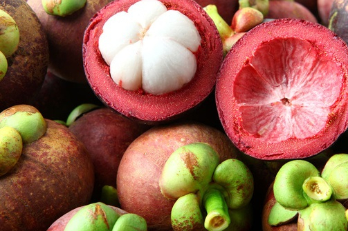 沙竹(沙竹根中药别名)